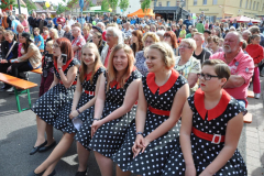satfrei_8_20150605_1384947543