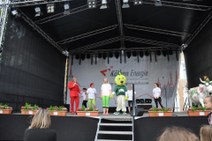 satfrei_9_20150605_1054168378