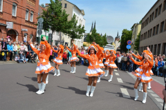 satsonn_2_20150611_1554742001