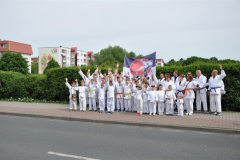 satsonn_3_20150619_1957580542