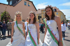 satsonn_5_20150611_1668438396