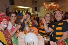 fasching2015-02-07_4_20150209_1273570799