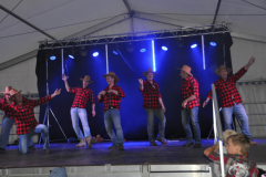 pfingstochse_3_20170620_1517995688