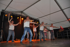 pfingstochse_7_20170620_1554625370