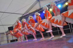 showfrenz2018_5_20180609_1590889919