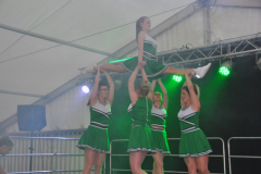 showfrenz2018_8_20180609_1595086586