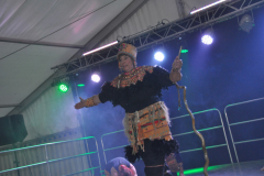 showfrenz2018_8_20180609_2028421112