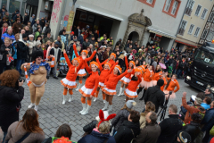 tulpensonntag_326_20160216_1090463077