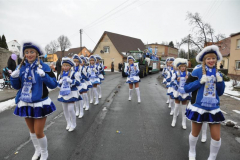 karnevalsumzug_groebzig_20131002_1971734789